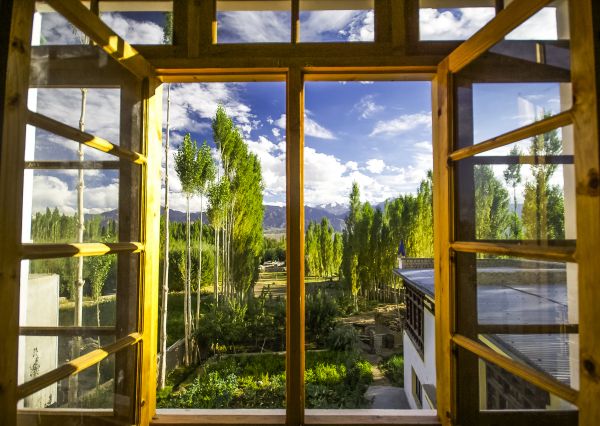 Cost of Wood Window Replacement in Easton