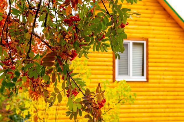 Cost of Garden Window Replacement in Easton